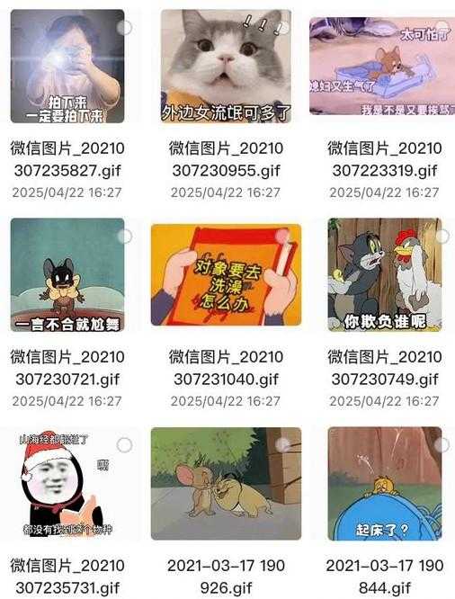搞笑表情包合集｜聊天斗图必备资源包-茉莉博客